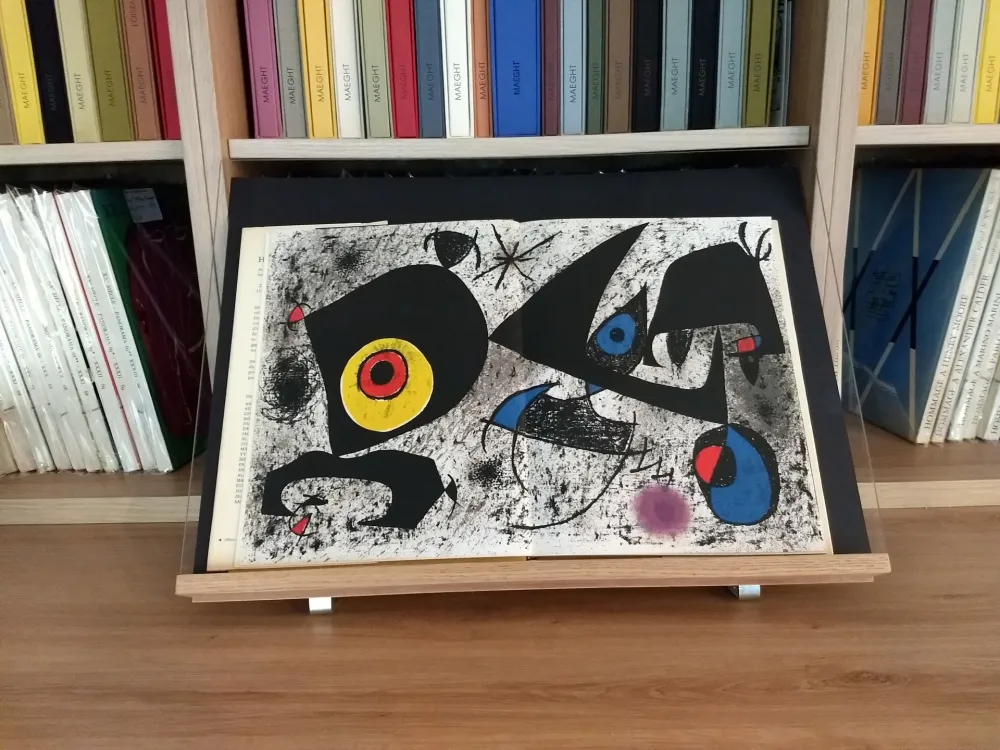 Livro Ilustrado Miró - Hommage