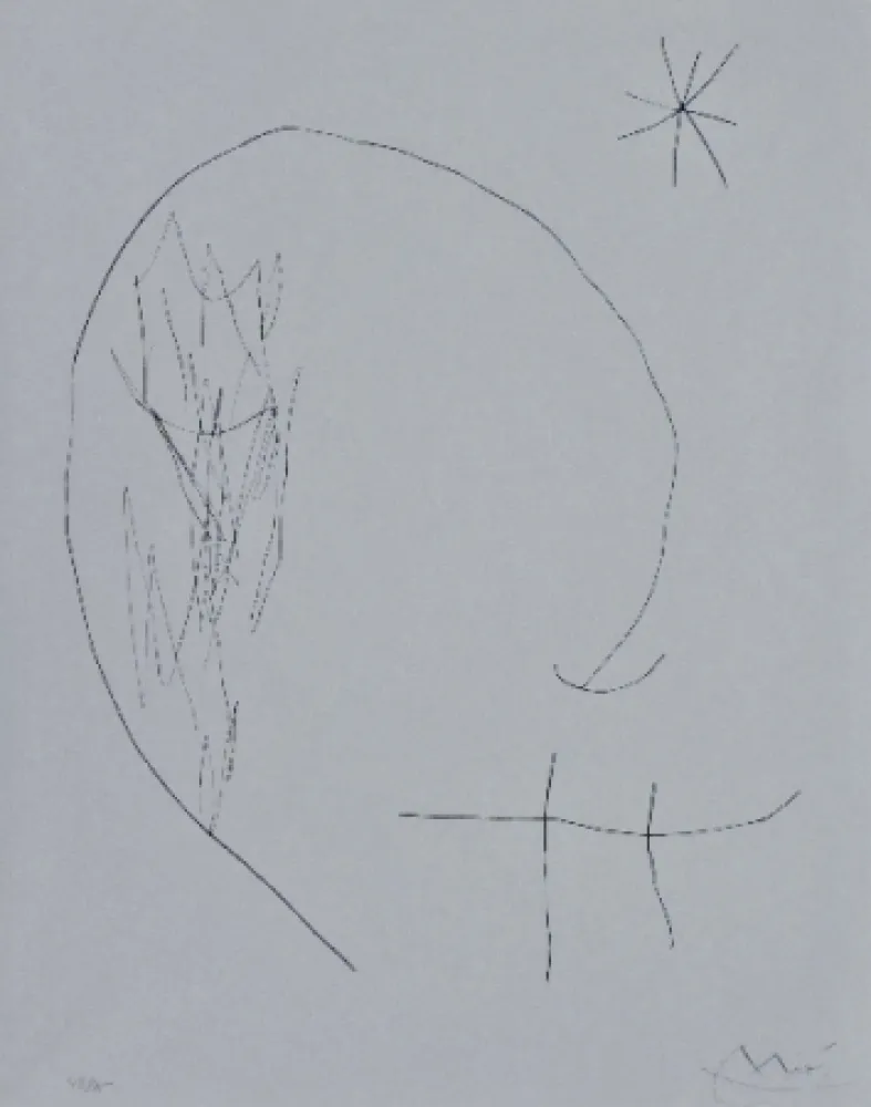 Ponta-Seca Miró - Journal d'un graveur 2