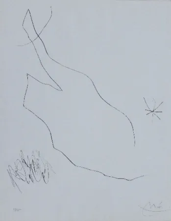 Ponta-Seca Miró - Journal d'un graveur 5