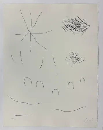 Ponta-Seca Miró - Journal d'un graveur II