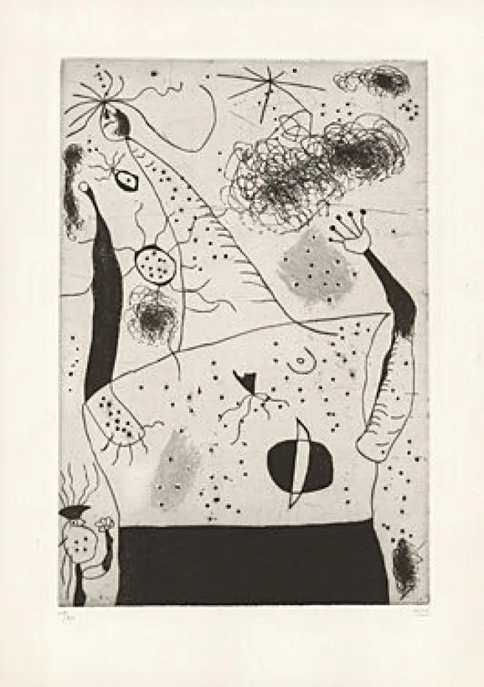 Ponta-Seca Miró - 