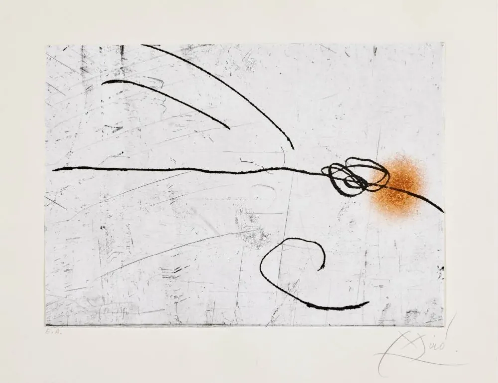 Água-Forte E Água-Tinta Miró - Lapidari