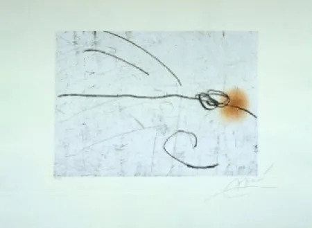 Água-Forte E Água-Tinta Miró - Lapidari, Aquilinus