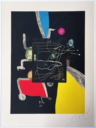 Água-Forte E Água-Tinta Miró - Llibre dels sis sentits (Books of th six senses) 