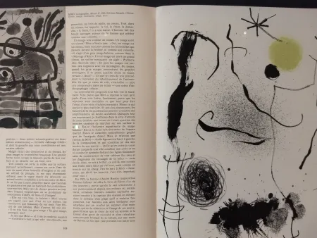 Livro Ilustrado Miró - XXE No 24