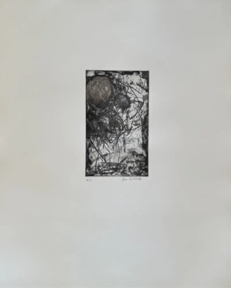 Água-Forte E Água-Tinta Mitchell - Sunflower I