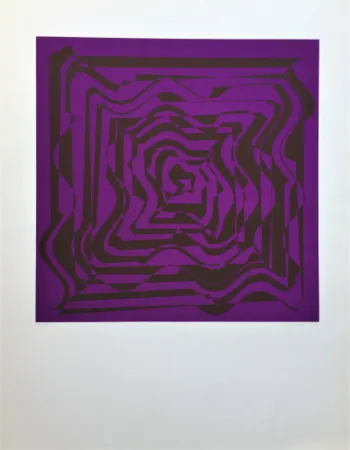 Serigrafia Molnar - Hyper transformation