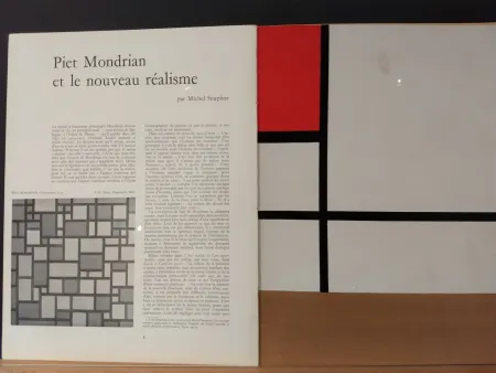 Livro Ilustrado Mondrian - Xxe No 9
