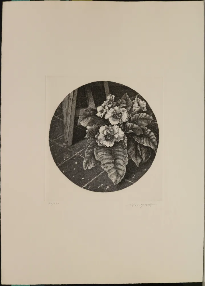 Água-Forte Mongatti - Natura morta