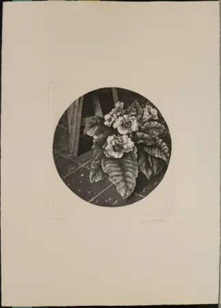 Água-Forte Mongatti - Natura morta