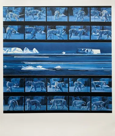 Cartaz Monory - Dream tiger No 4