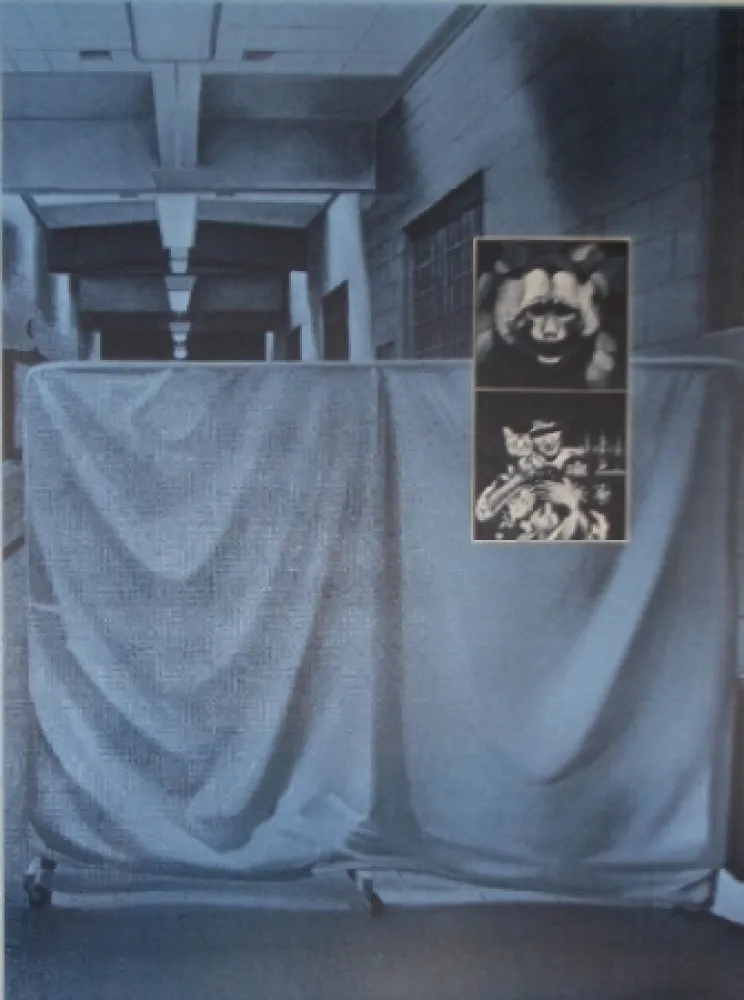 Serigrafia Monory - USA 76 - Singes