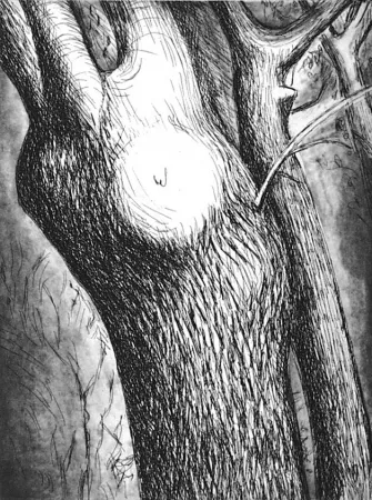 Água-Forte E Água-Tinta Moore - Trees VI dead ash