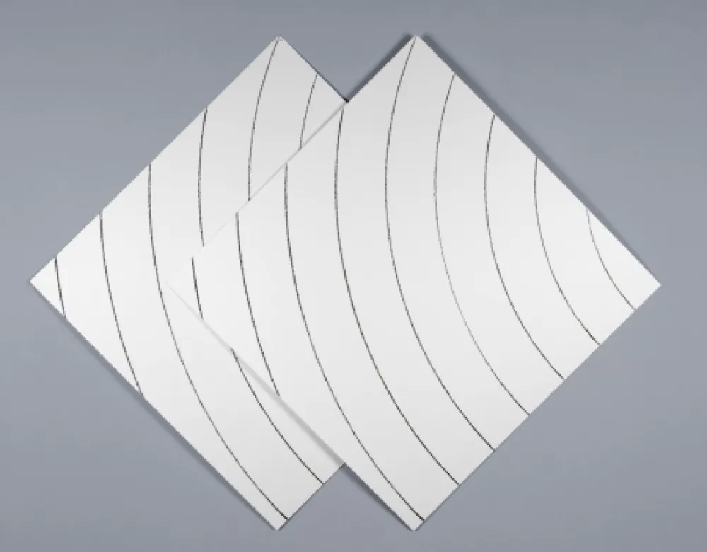 Serigrafia Morellet - Ondes parasites 1