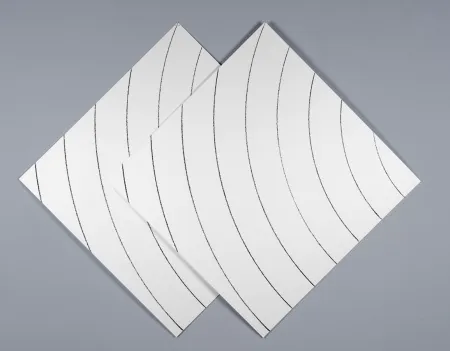 Serigrafia Morellet - Ondes parasites 1