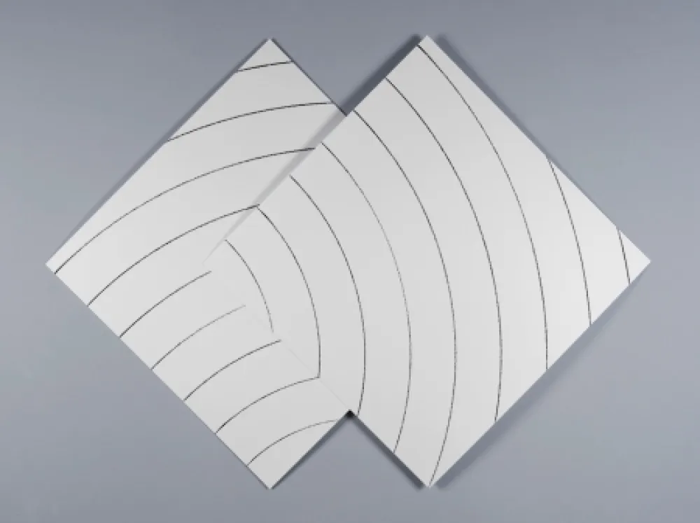 Serigrafia Morellet - Ondes parasites 2