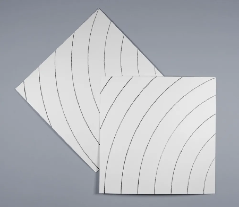 Serigrafia Morellet - Ondes parasites 2