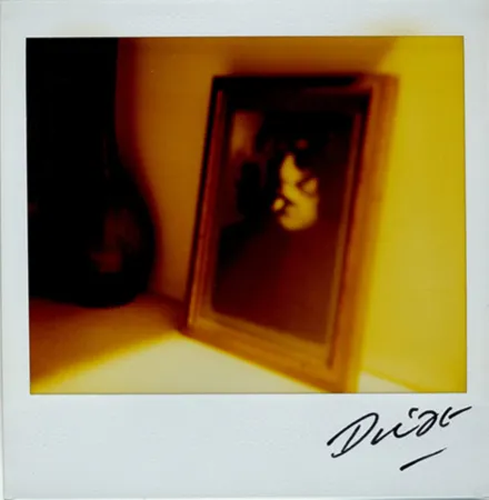 Múltiplo Moriyama - Bye-Bye Polaroid 10
