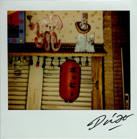 Múltiplo Moriyama - Bye-Bye Polaroid 13