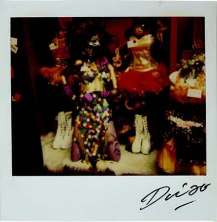 Múltiplo Moriyama - Bye-Bye Polaroid 15