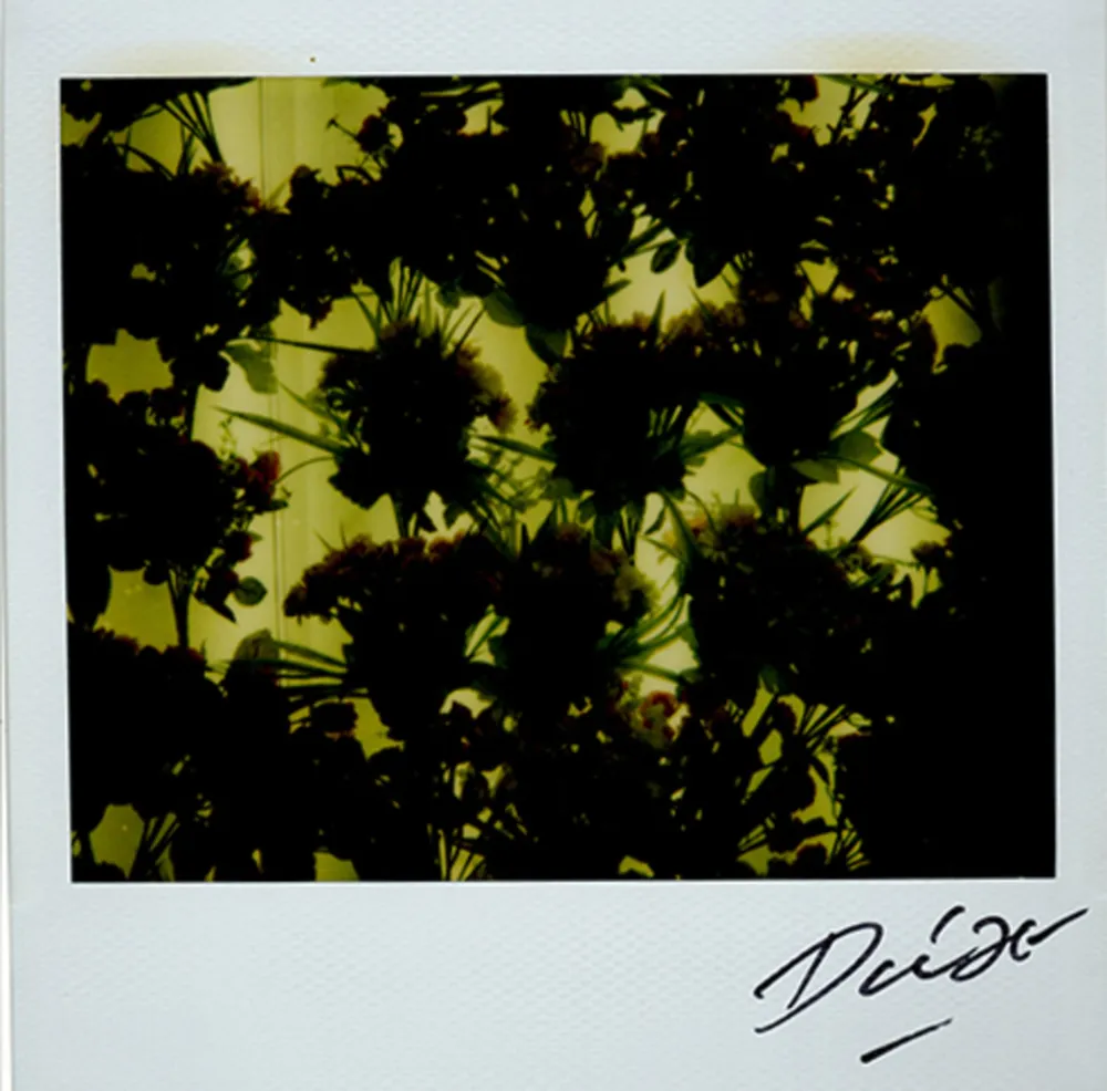 Múltiplo Moriyama - Bye-Bye Polaroid 4