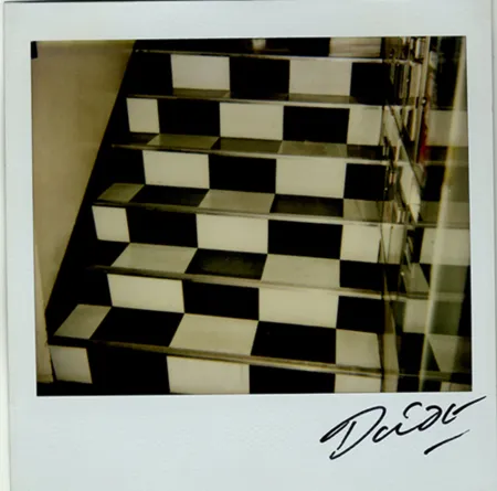 Múltiplo Moriyama - Bye-Bye Polaroid 6