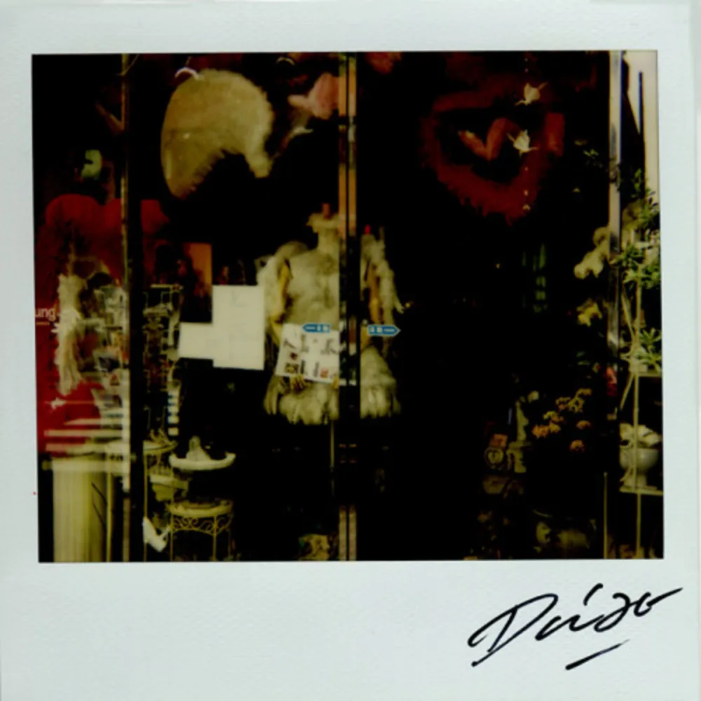 Múltiplo Moriyama - Bye-Bye Polaroid 9