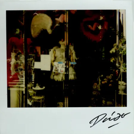 Múltiplo Moriyama - Bye-Bye Polaroid 9