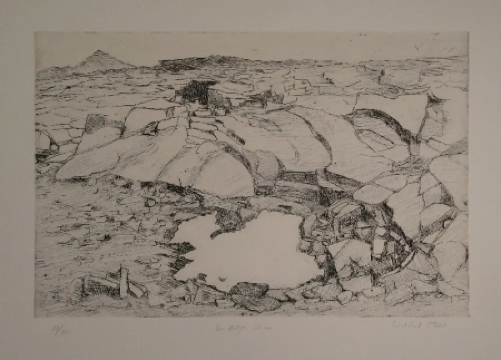 Gravura Moser - Der letzte Schnee