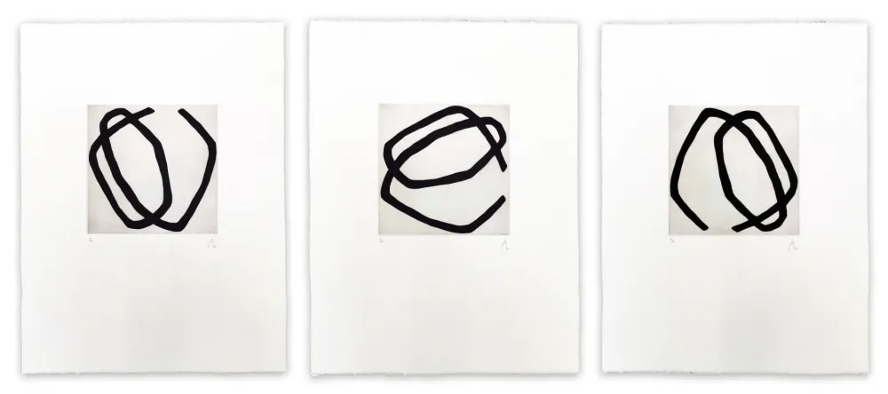 Água-Tinta Muckensturm - 12.5