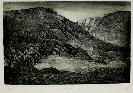Água-Forte E Água-Tinta Müller - Landschaft mit Strauchwerk / Landscape with Bushes