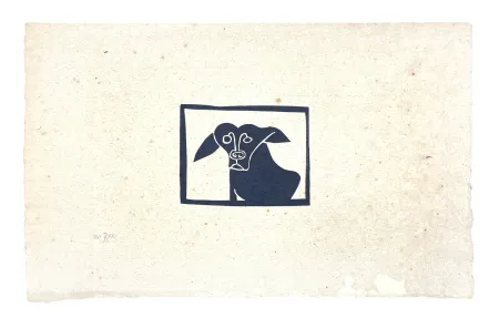 Sem Técnica Müller - SKILIA II