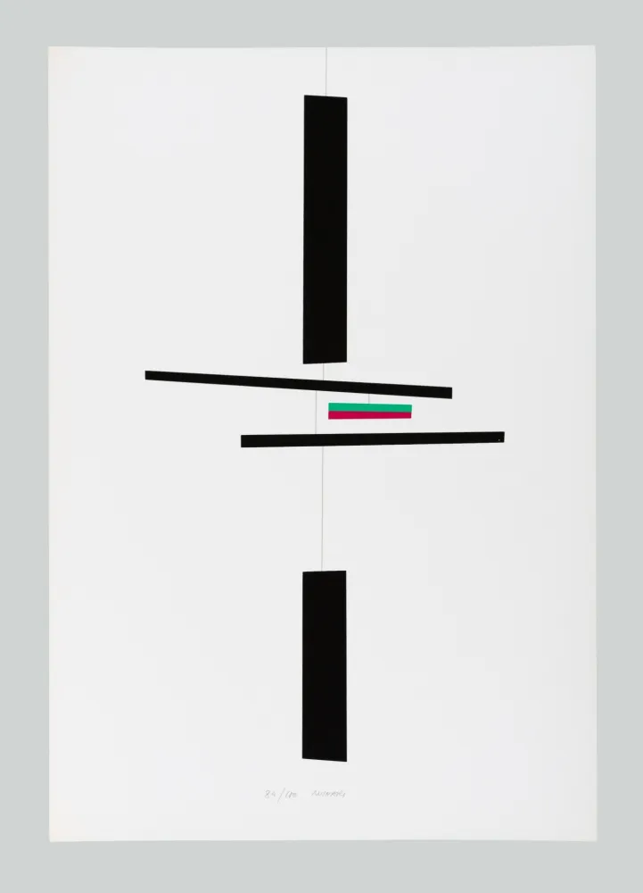 Serigrafia Munari - Macchina inutile