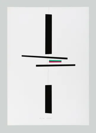 Serigrafia Munari - Macchina inutile