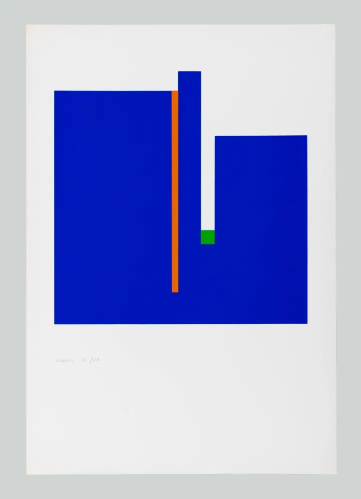 Serigrafia Munari - Negativo positivo