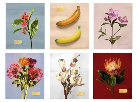 Fotografia Muniz - Flora Industrialis