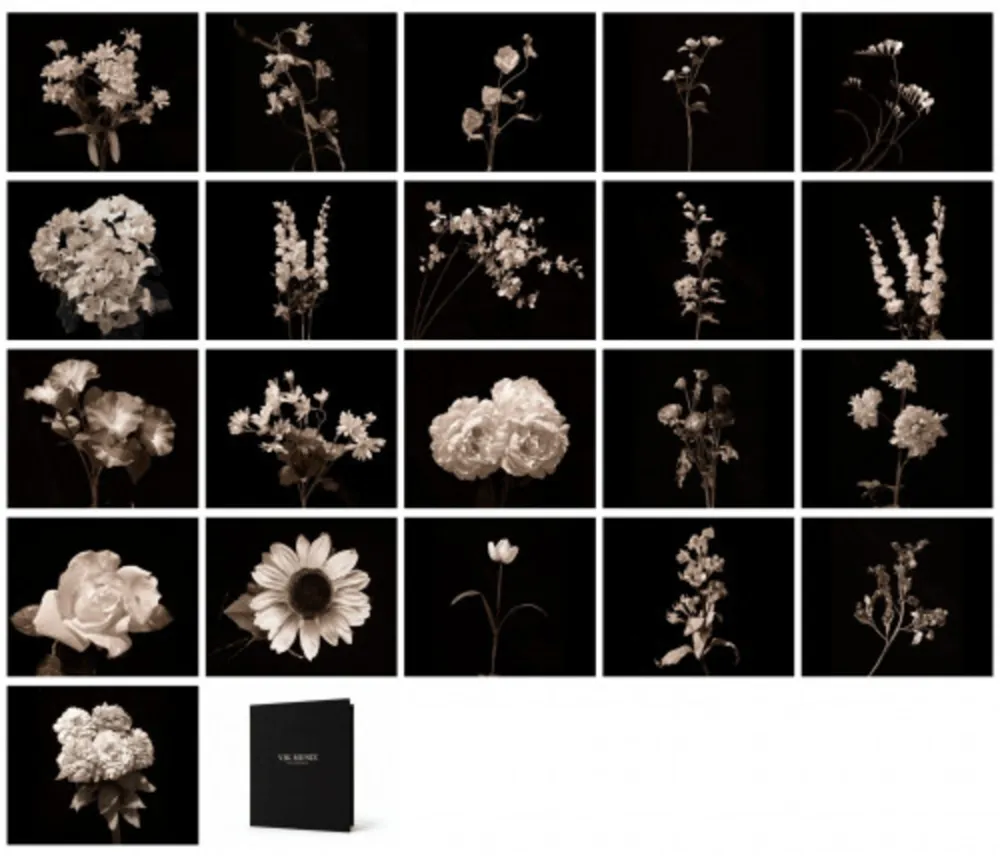 Fotografia Muniz - Flora Industrialis B/N