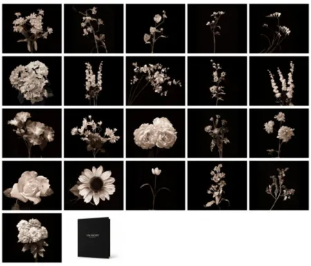 Fotografia Muniz - Flora Industrialis B/N