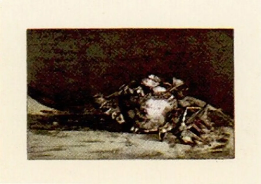 Gravura Muñoz - LLM-4