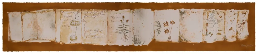 Múltiplo Muñoz - Manuscrit II