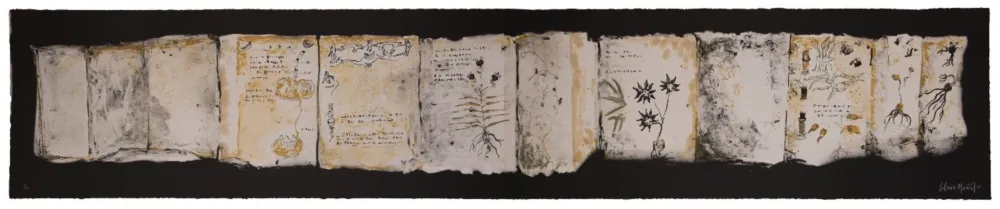 Múltiplo Muñoz - Manuscrit III