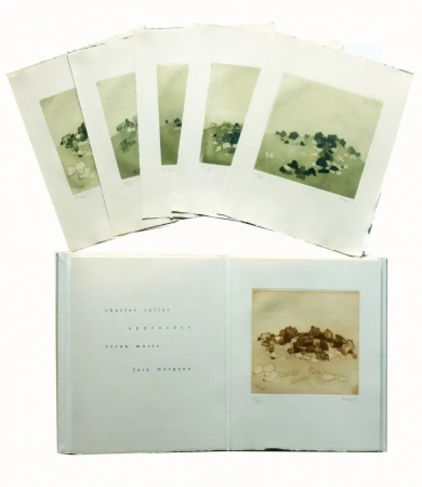 Livro Ilustrado Music - Approches