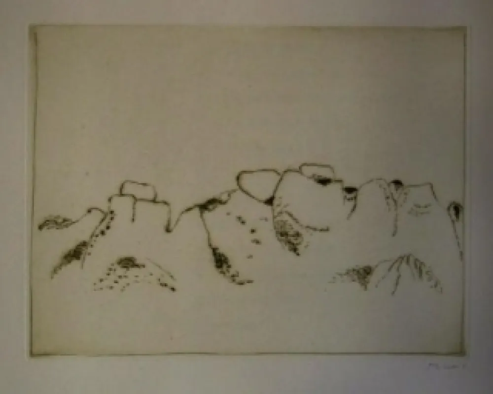 Livro Ilustrado Music - Jardins déserts peut-être