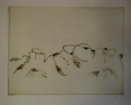 Livro Ilustrado Music - Jardins déserts peut-être