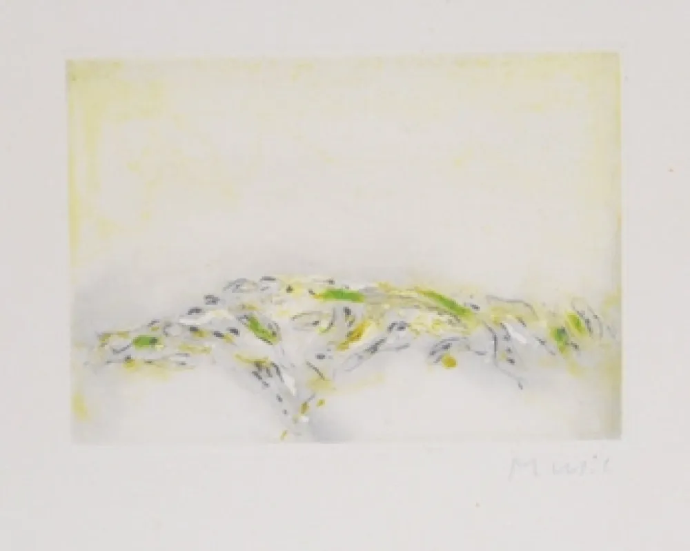 Água-Forte E Água-Tinta Music - La terre ecrit la terre