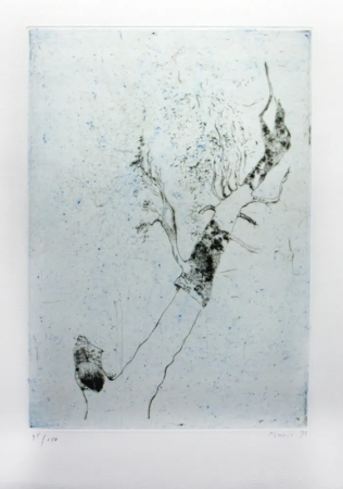 Gravura Music - Motif végatal