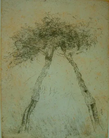 Água-Tinta Music - Motif vegetal