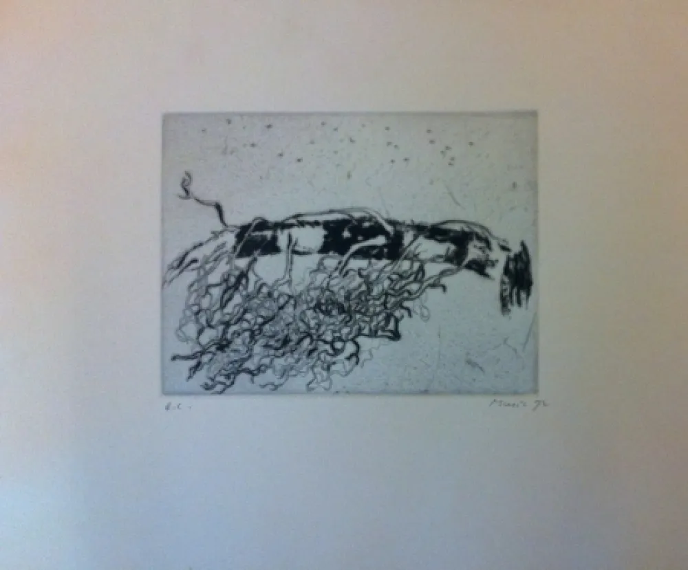 Gravura Music - Sans titre 