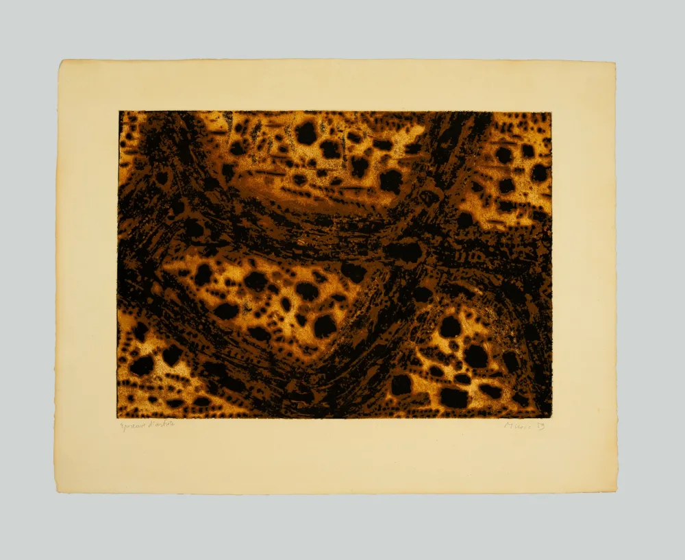 Gravura Music - Terre dalmate