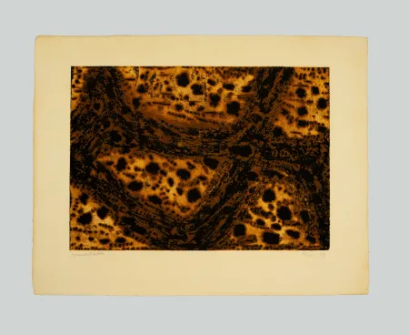 Gravura Music - Terre dalmate